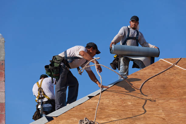 Best Storm Damage Roof Repair  in Brenham, TX